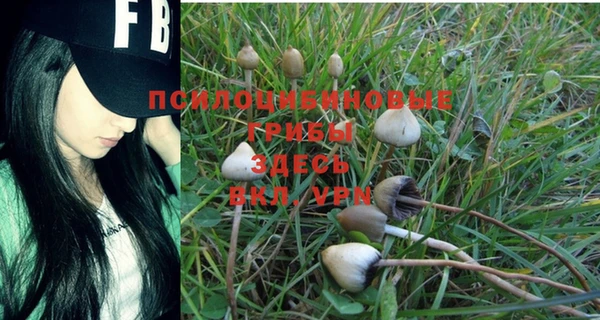 твердый Абдулино