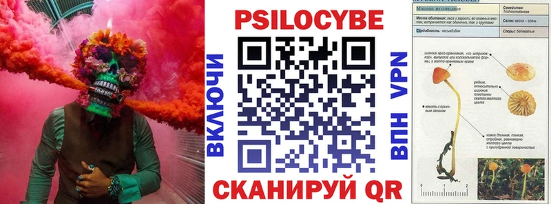 hydra tor  Зерноград  Псилоцибиновые грибы Magic Shrooms  сколько стоит 