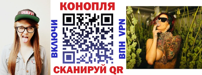где можно купить наркотик  Зерноград  МАРИХУАНА White Widow 